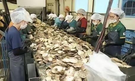 日本排放核水后，奇怪的事发生了：刚开始各国对海鲜避之不及，如今3年过去，核污染水