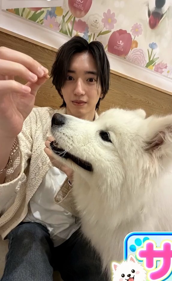 收获很多萌萌的照片📷🤲🏻道枝骏佑