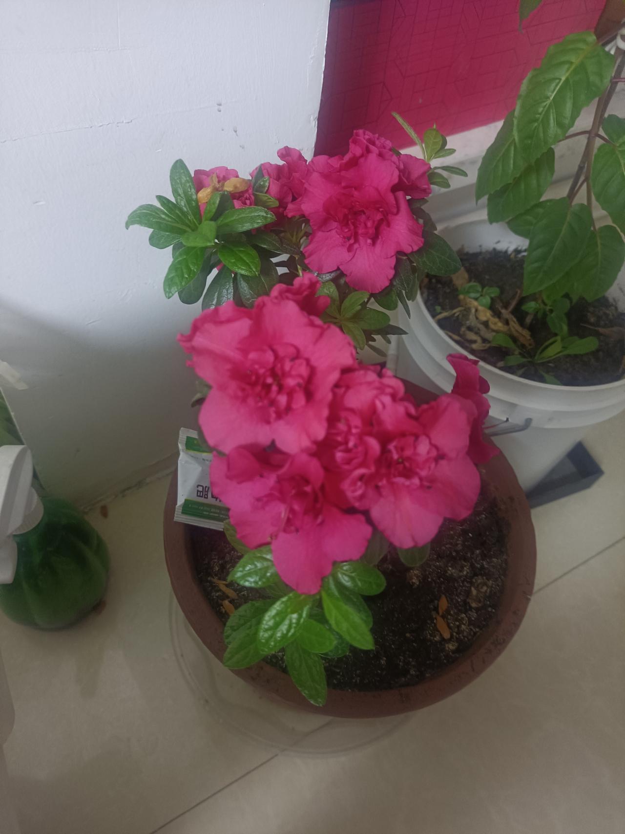 机会对于任何人都是公平的，
它在我们身边的时候，
不是打扮的花枝招展，
而是普普