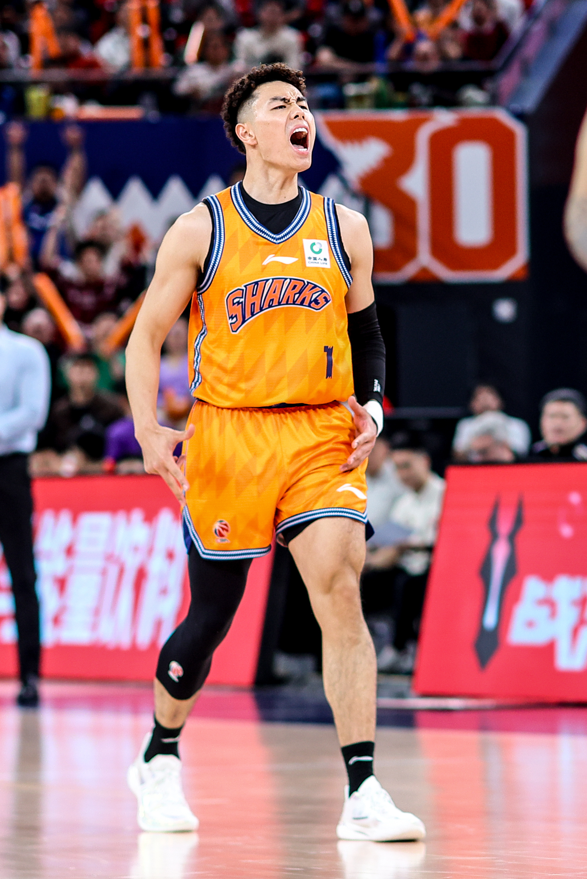 WELCOME BACK TR🔥上海久事大鲨鱼