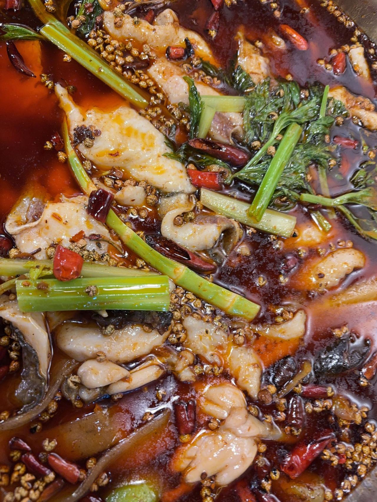 天南地北大拜年