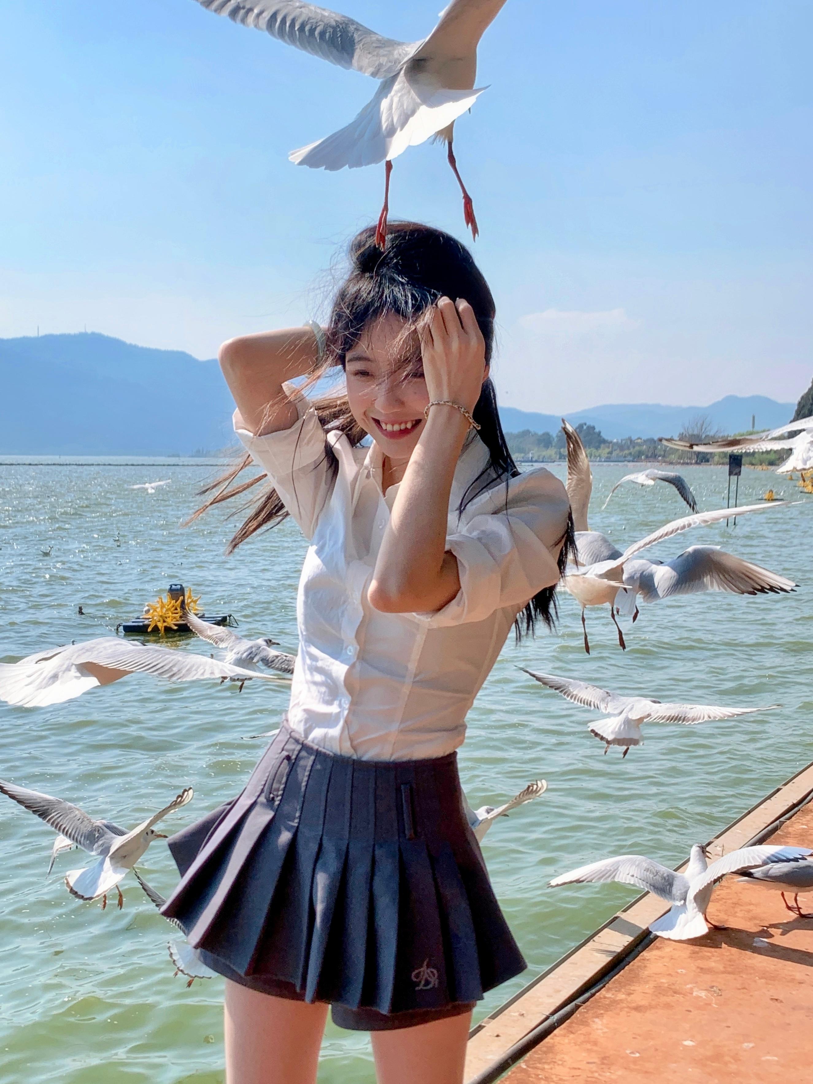 日落 海鸥 我们 ​​​