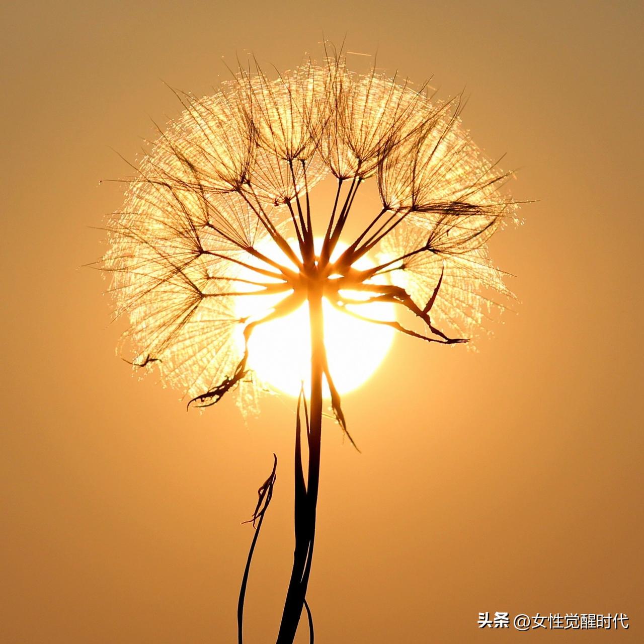 聪明的老人，从不跟儿女住！
这8条看着无情，其实最清醒！

老了跟儿女住，是享福