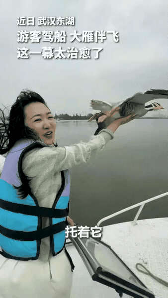 “没想到上人民日报了！”武汉，一女子驾船出海欣赏美景，突然飞来一群大雁和船并肩同