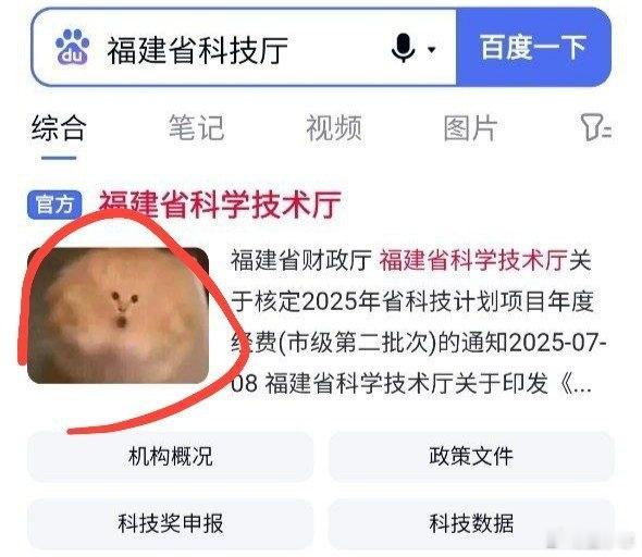 福建省科技厅官网封面变成猫猫[笑cry][笑cry][笑cry]目前已经恢复正常