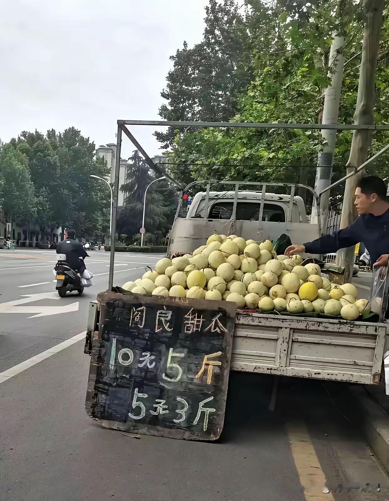 到底是买5元的合算还是买10元的合算？怎么越看越别扭昵？