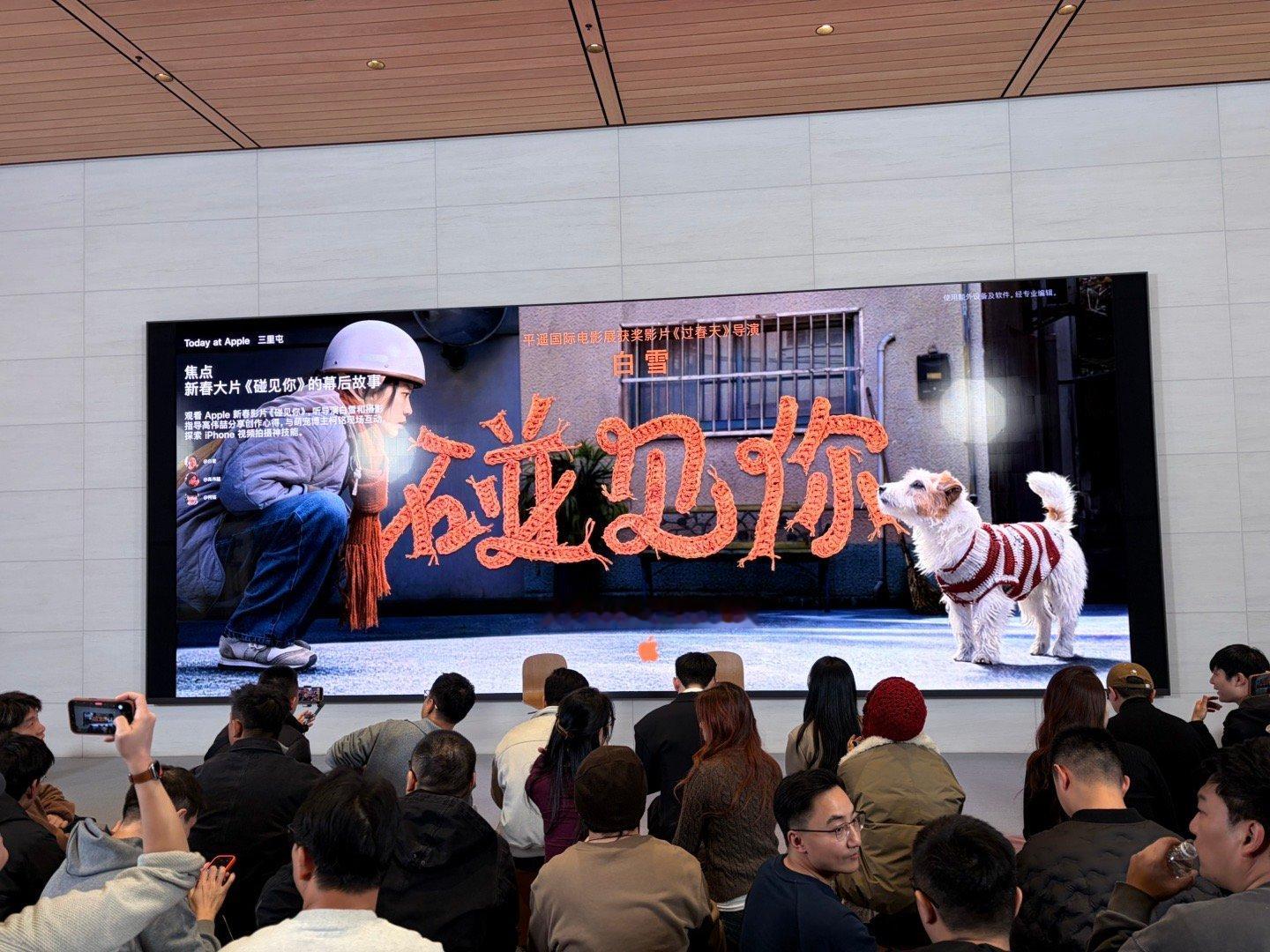 来看苹果贺岁片了 