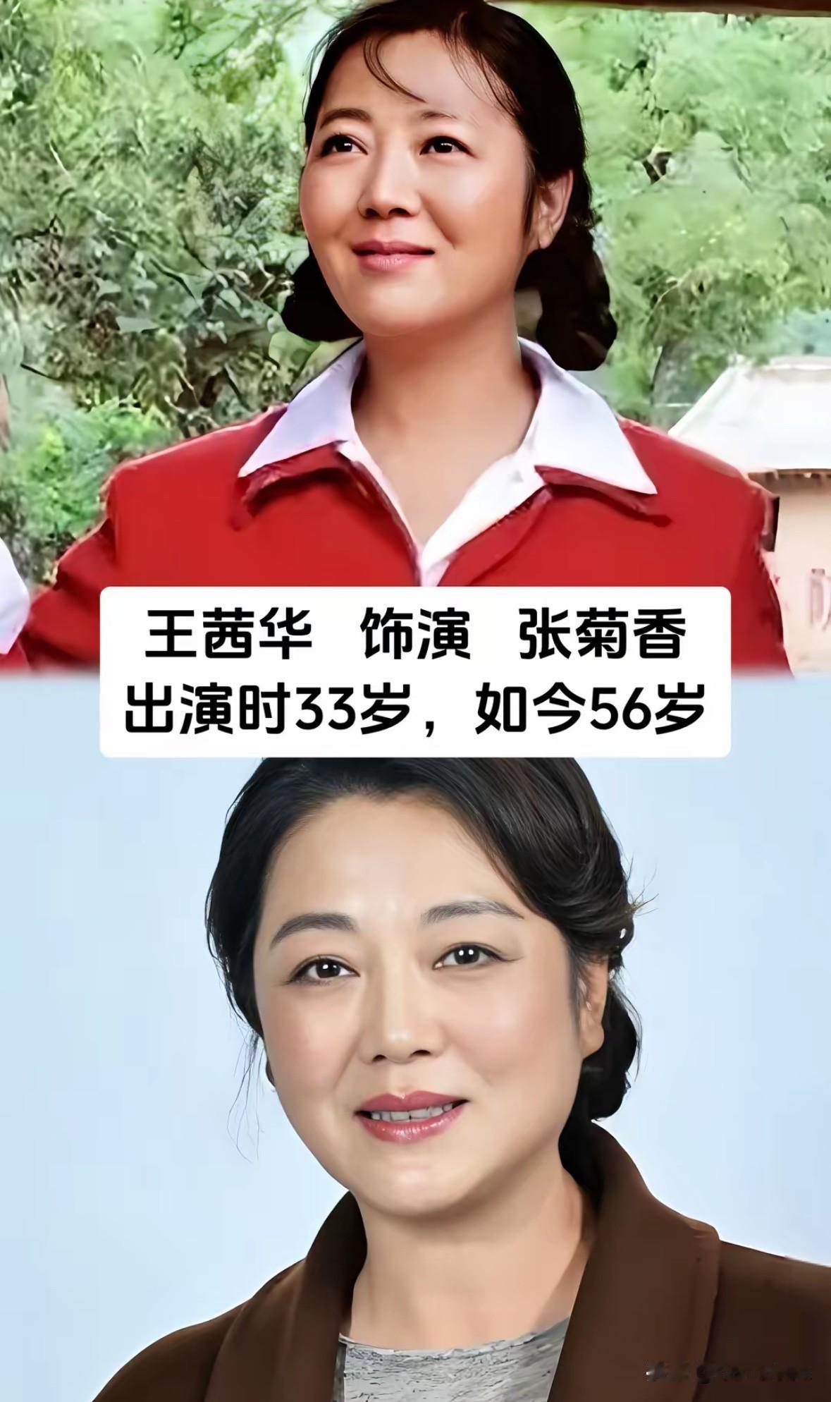 时隔23年重刷《当家的女人》
才懂女人真正的底气从来不是依附谁

早年总以为张菊