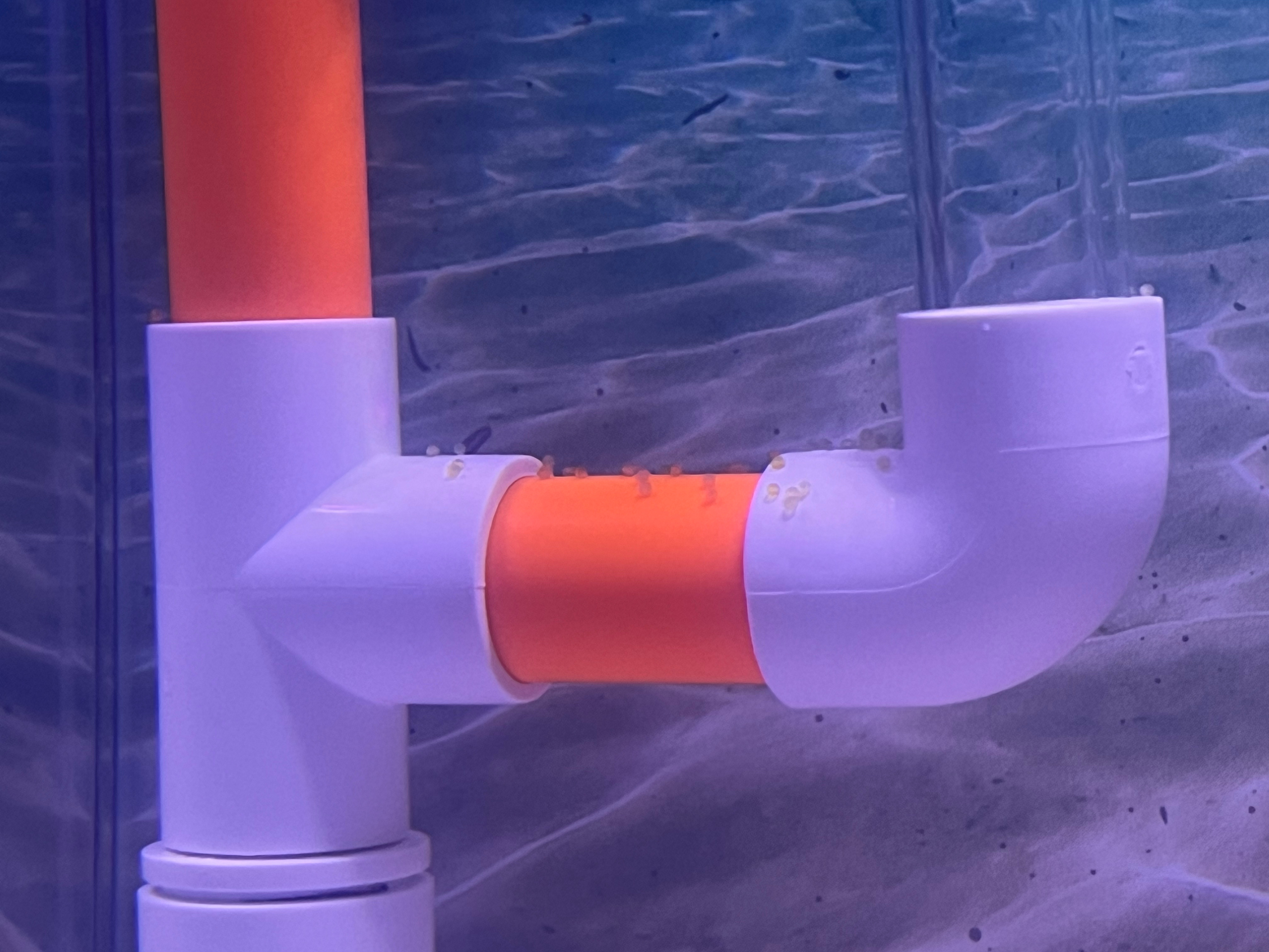 手机充不进去电关机一下午开机几十条工作信息 消息都没回完刚到家 鱼甩籽 鸟掉花瓶