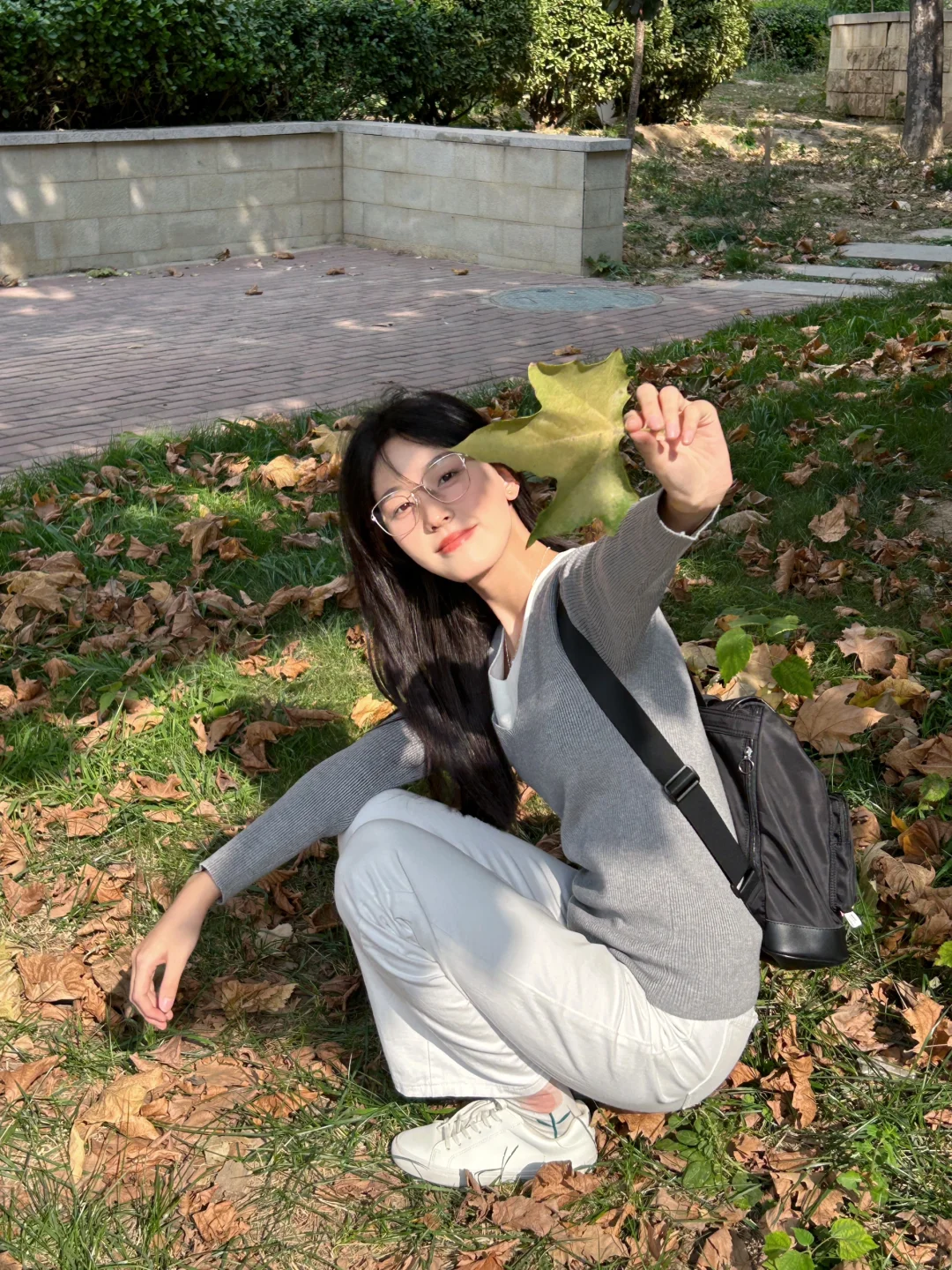 秋天的风来了🍂