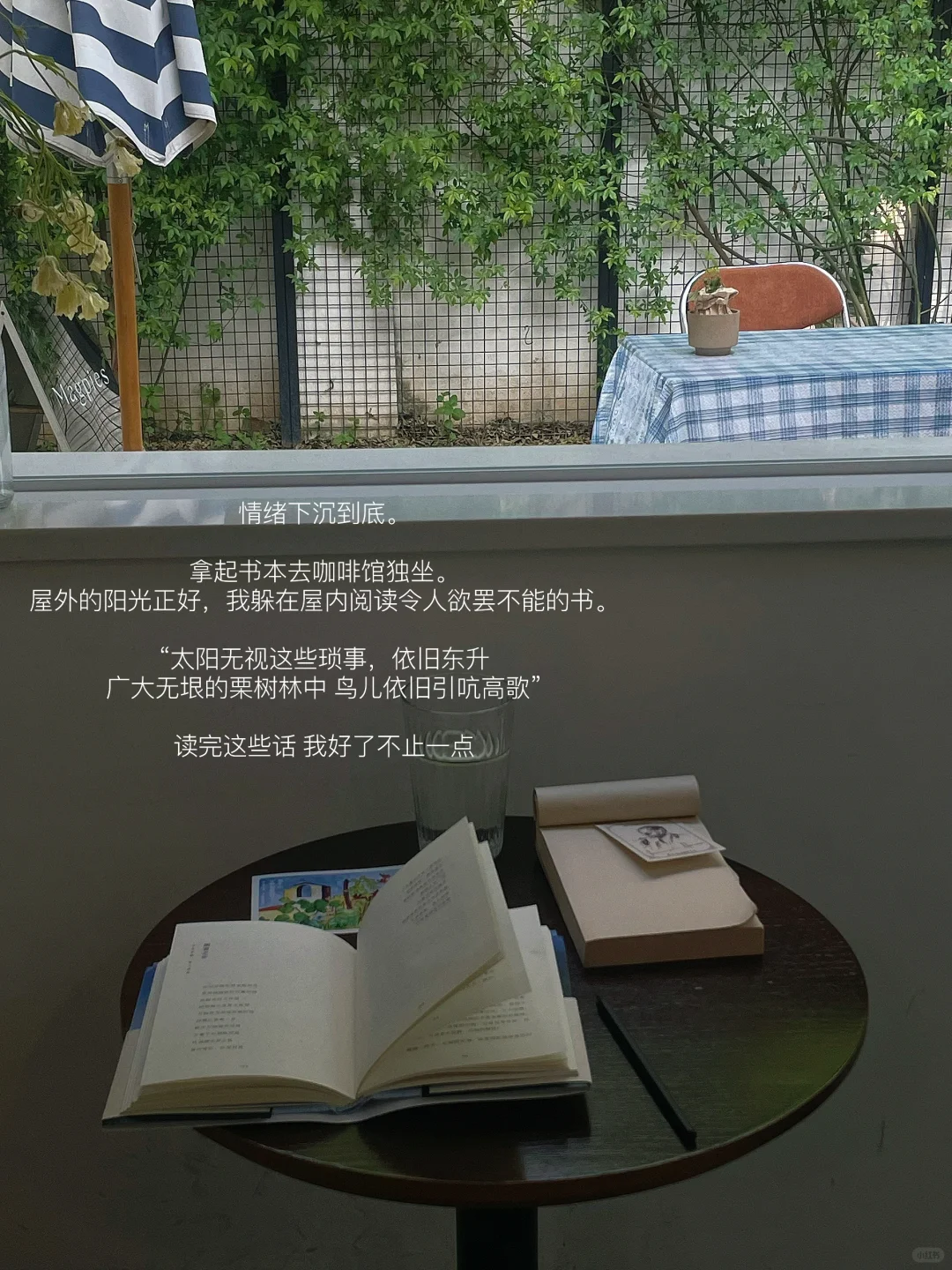 独处、阅读、出门走，是我稳定情绪的良方