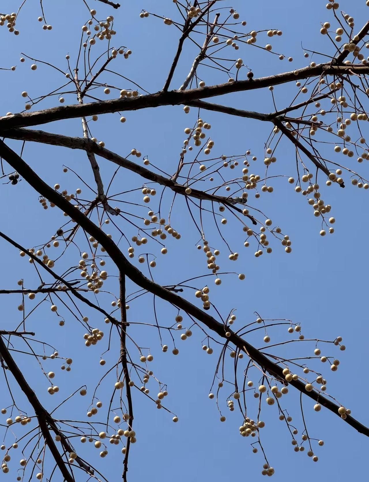 我喜欢稳稳的东西 像稳扎稳打编织一张紧密的网可以兜住一个安全的地方