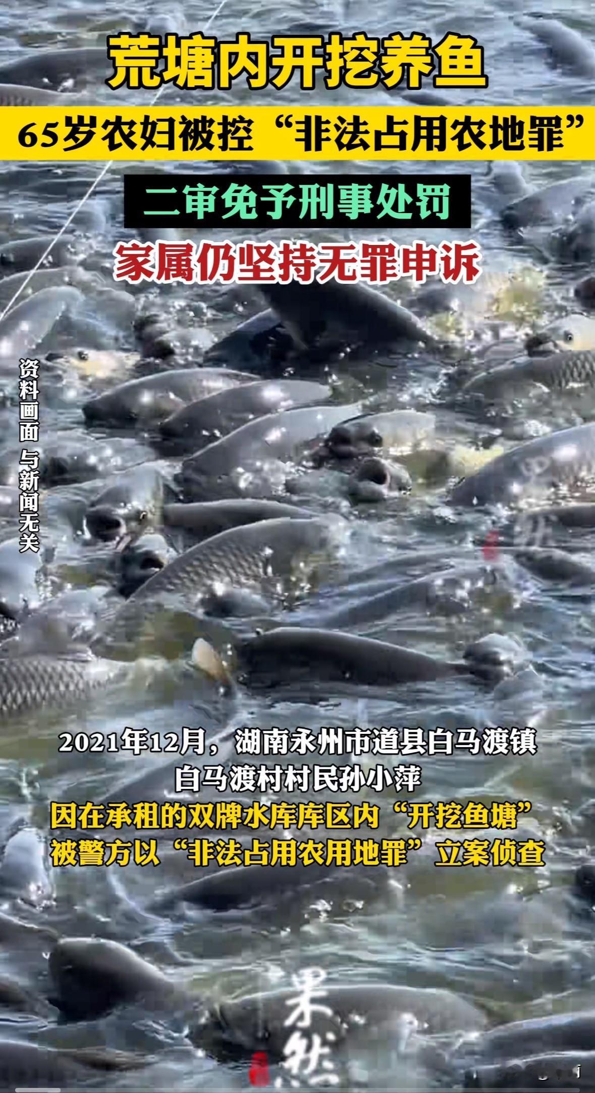 湖南永州65岁农妇孙小萍，承包了村里三十年没人耕种的水淹荒塘养鱼。2020年她雇