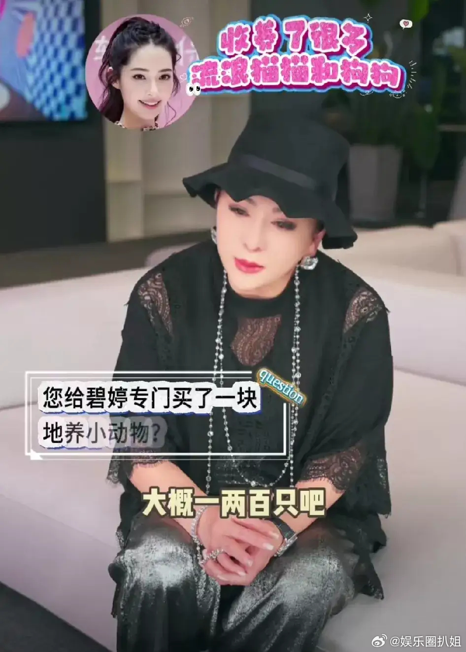 向太给郭碧婷买地向太又宠儿媳妇孙女了，为郭碧婷icon收养的一两百只宠物，买了几
