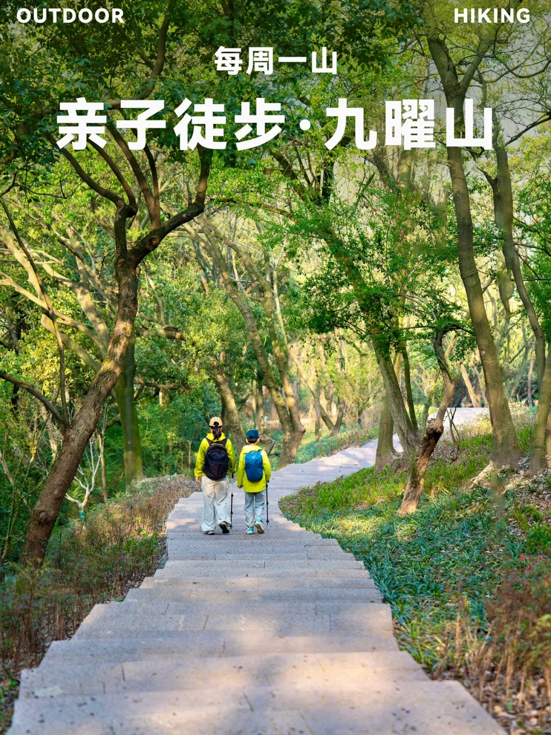 徒步收藏夹|30分登顶看西湖全景❗️新手友好