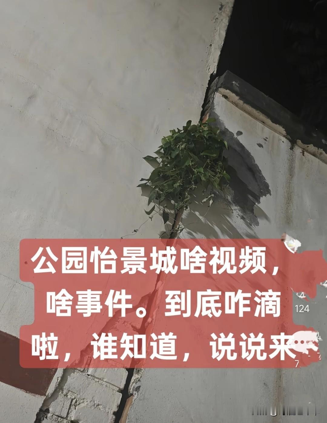又吃大瓜了吗?公园怡景城发生了什么，为啥都在说这里，有没有谁知道，给大家分享普及