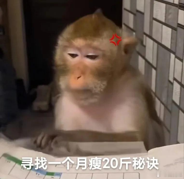 小伙用AI减肥瘦下40斤 合理利用AI让减肥更快！小伙用AI减肥，要计划有计划，