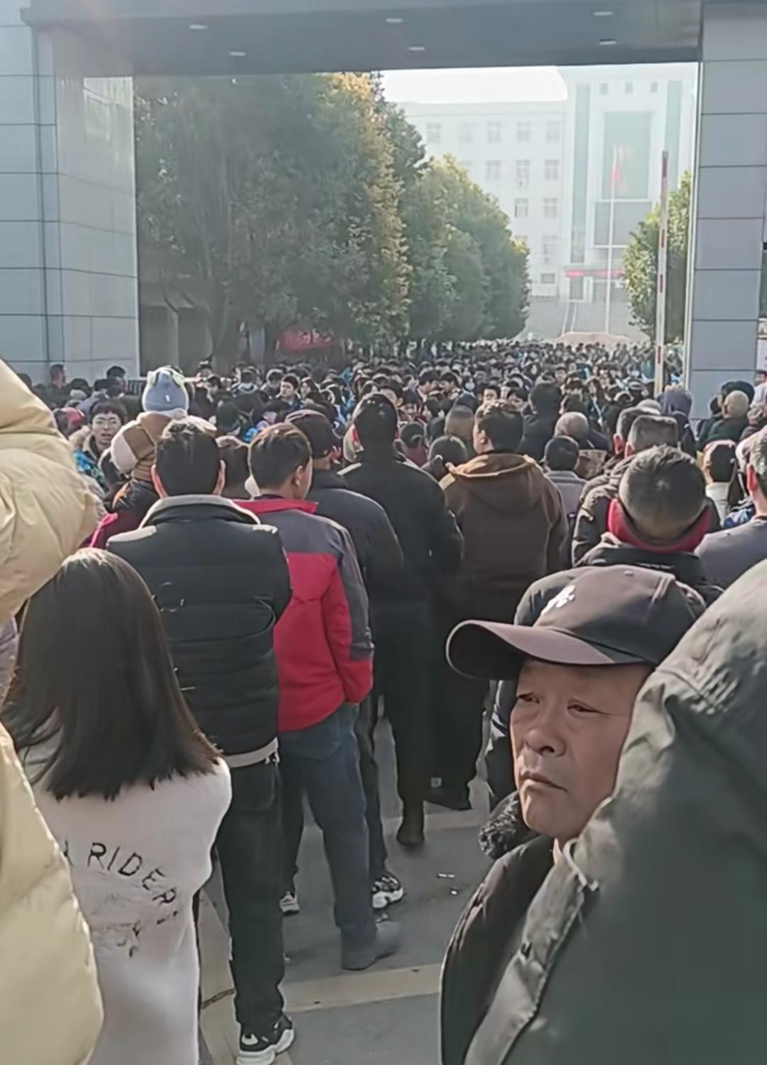 河南新蔡一孩子出事，全校家长来接孩子！