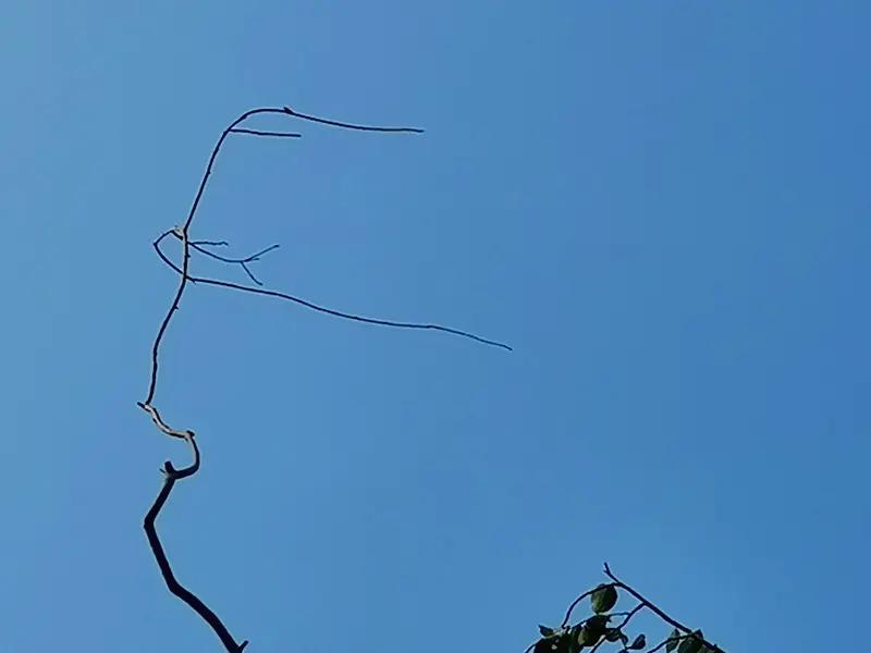 下联：巧手著华章
解析：用“巧手”与“奇思”相对，着重体现落笔行文的功底；妙句汇
