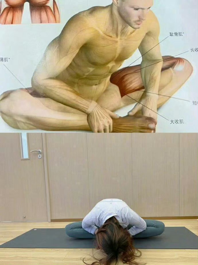 据说这一套动作叫最伟大的拉伸