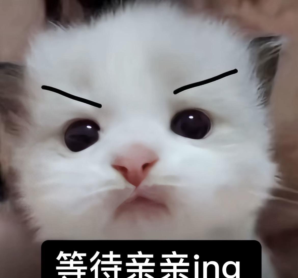 等待亲亲ing