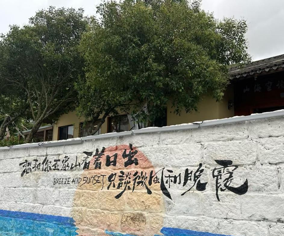 这雨是从初八的早晨开始的，
细得像谁在窗外撕棉纸。
我数着檐角的水滴，
想起你说