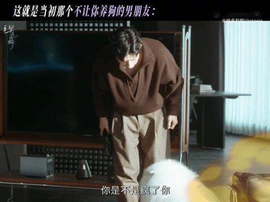 卢克那口嫌体正直的亲生父亲卢克嘴上骂骂咧咧的奶爸luke前一秒还在训斥拆家的卢克