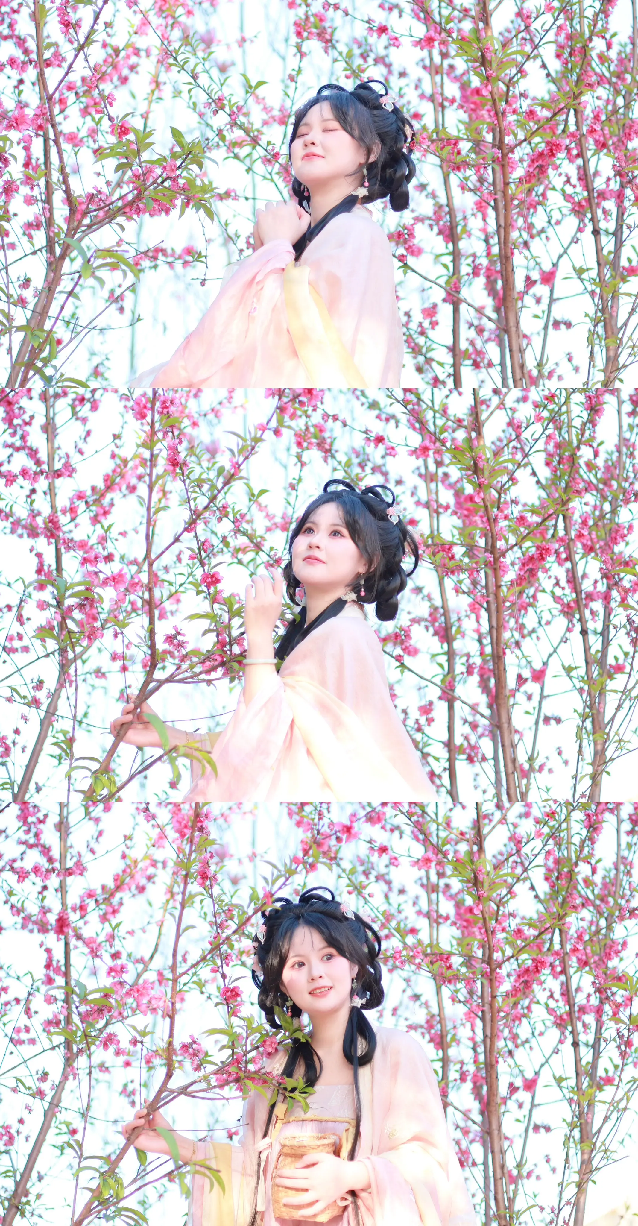 借一枝春色，簪满鬓温柔🌸。