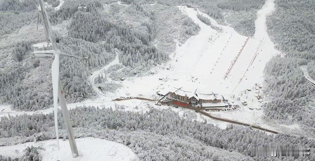 不用飞长白山！重庆就能 get《骄阳似我》双向奔赴的滑雪甜
1月的南天湖太会了！