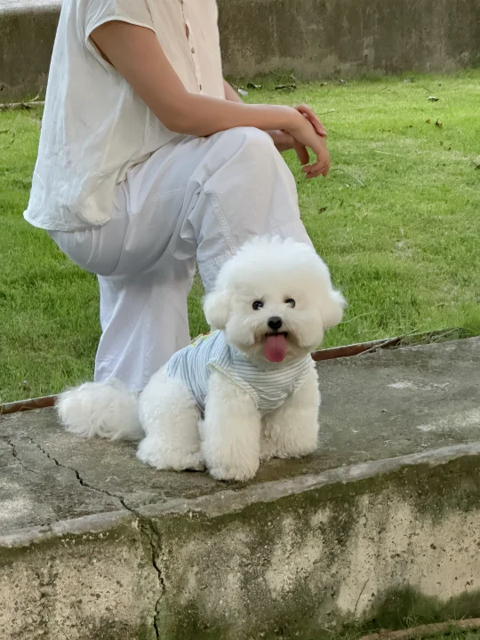 喜欢小狗亮亮的眼睛👀