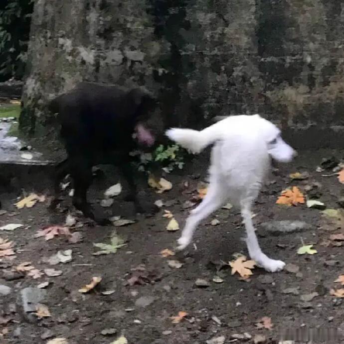 hmmm 