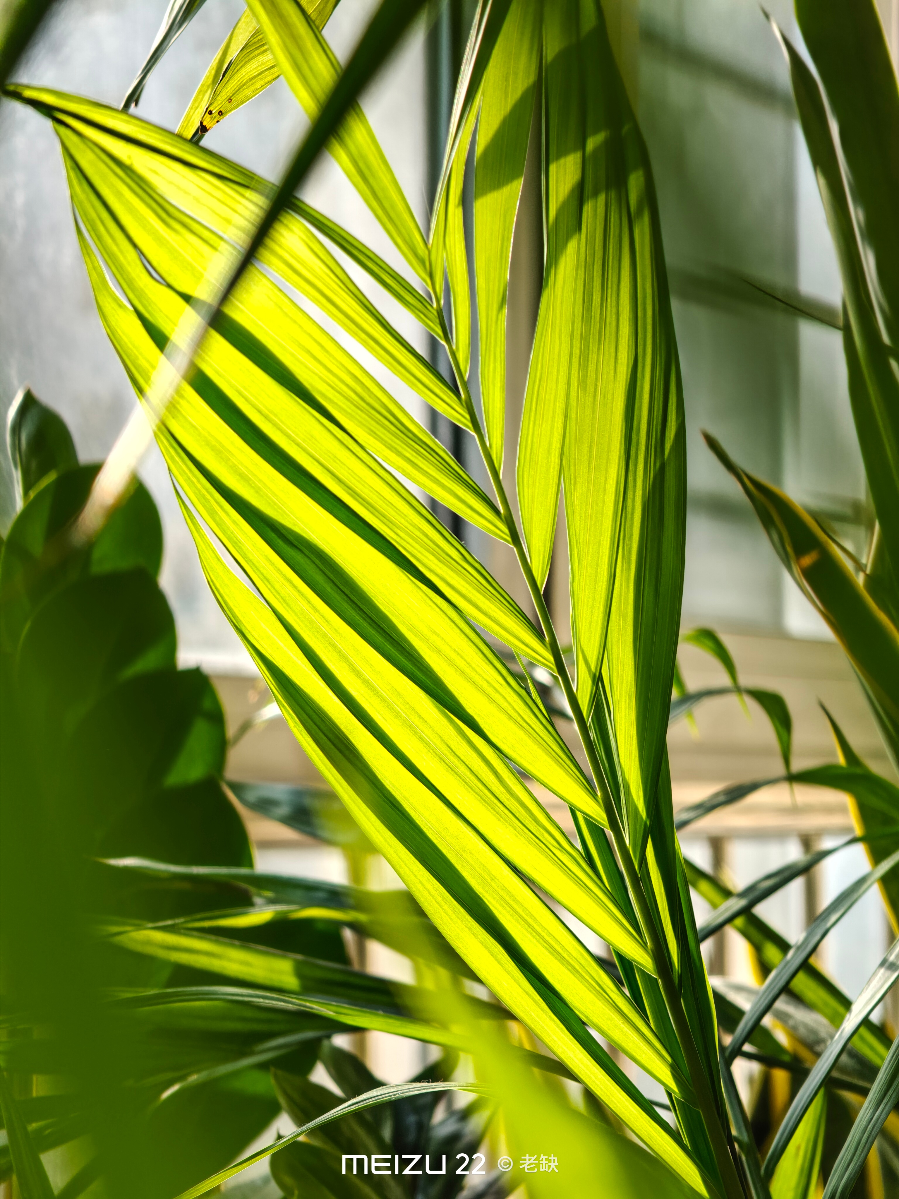 今天明明是周日，却睡不着了魅族