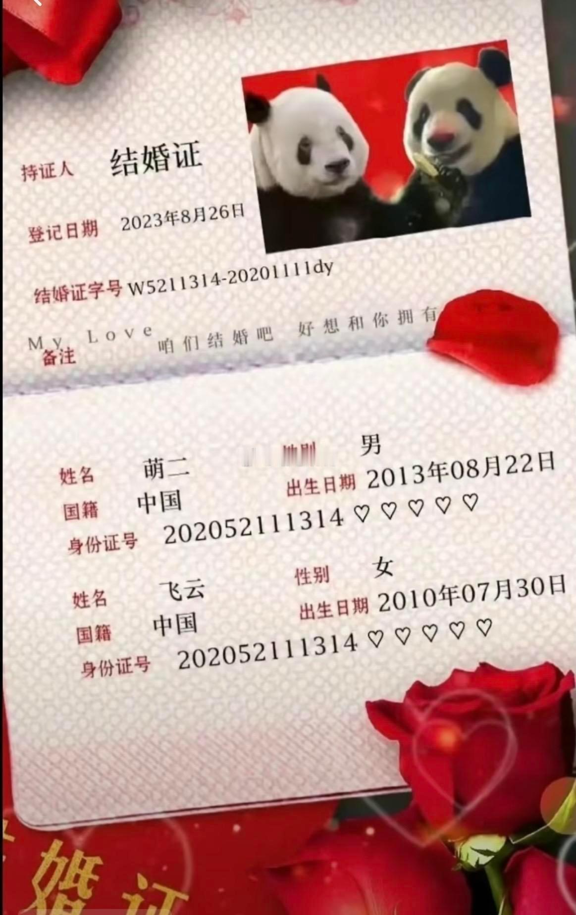 全网都在为萌二和飞云的婚事操心，只有他俩自己不知道 ​​​
