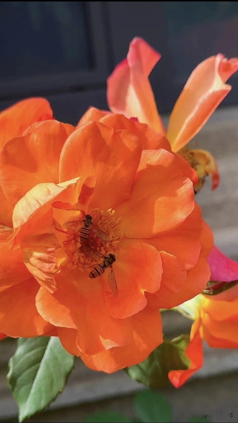 2025年马上再见了，
2026年你好呀！

时间过的真快，
还有4天就迎来20