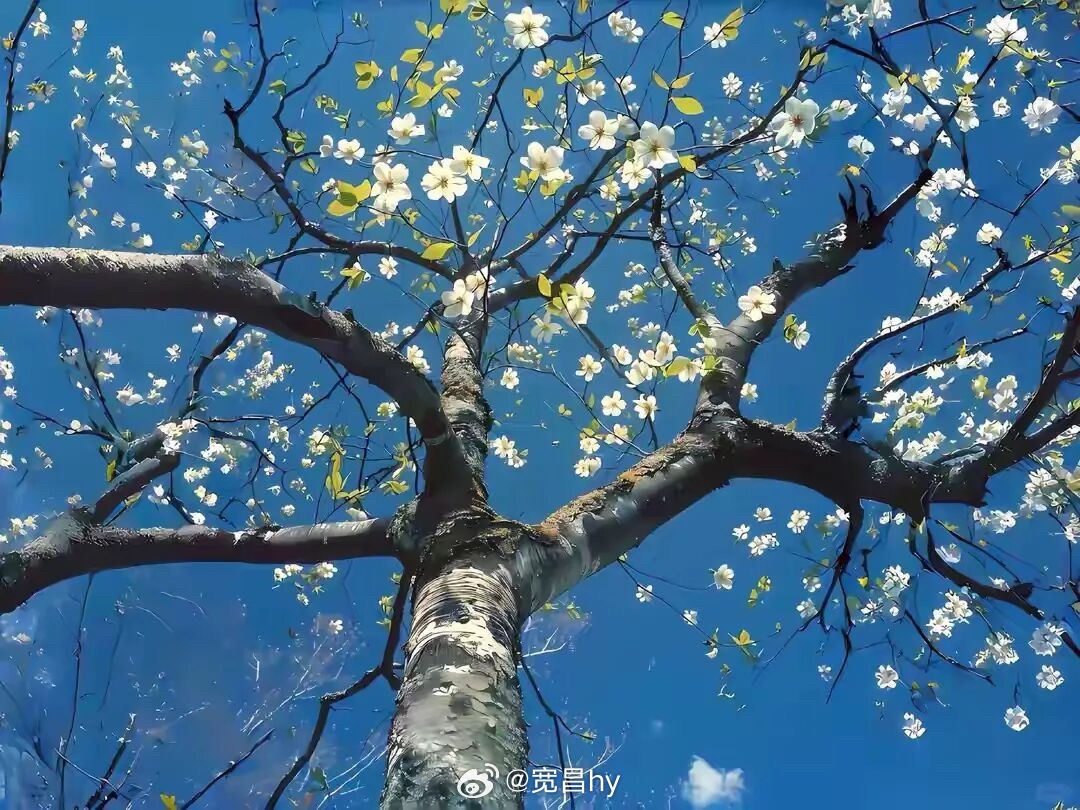 微博云祈福祈福2026华严宗祖庭西安华严寺 人生最好的状态，向内安顿内心，向外稳