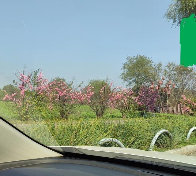 孩子结婚后，我不会和亲家来往的。
这种相处模式其实挺省心的。你想啊，两家大人非要