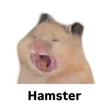 鼠鼠好🐹 ​​​