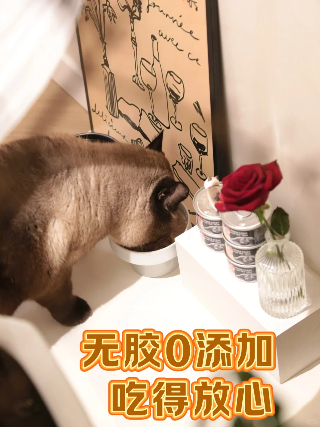 欢迎光临小猫餐厅，很不高兴为您服务 •︠ˍ•︡