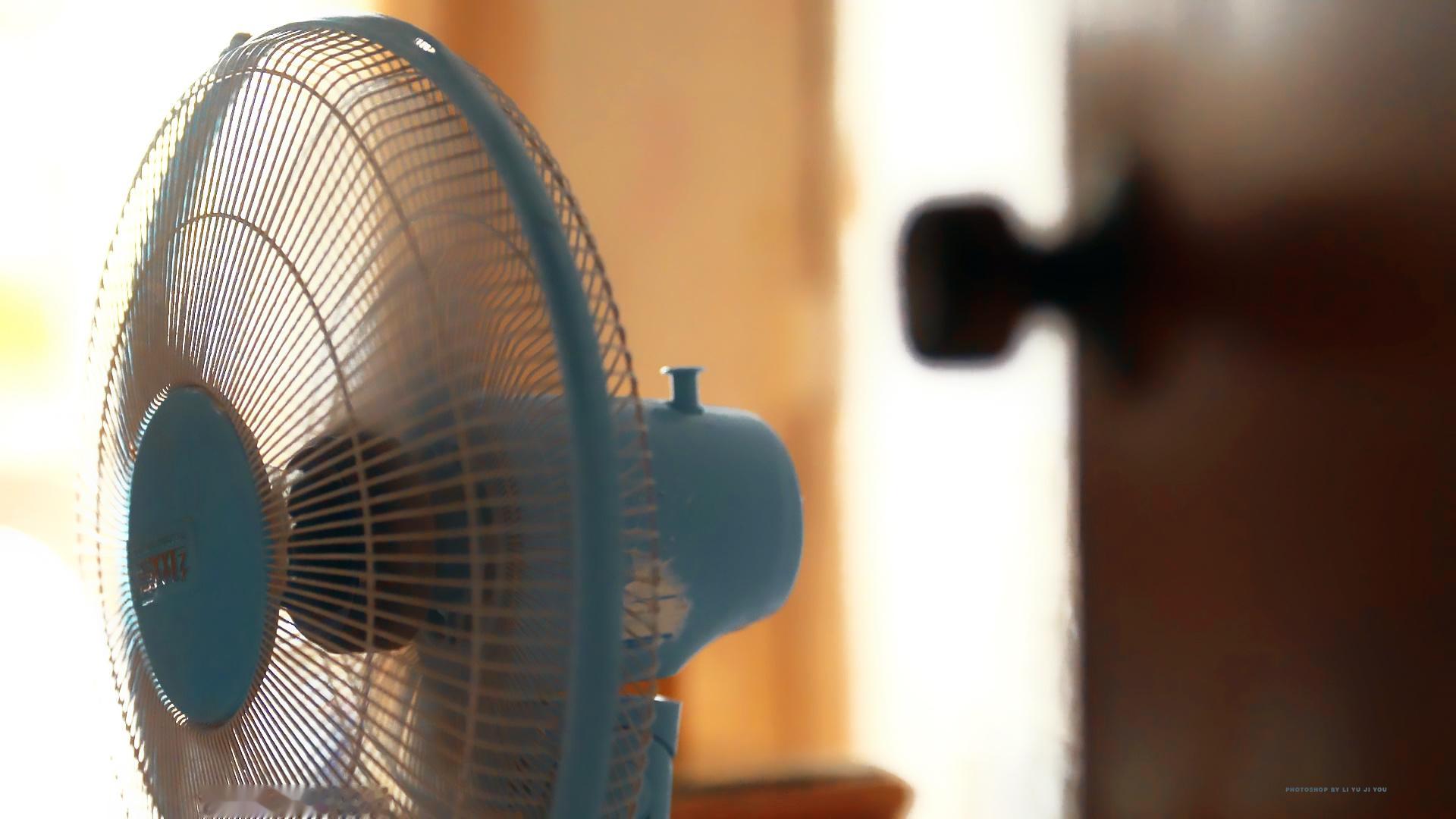 燥热的夏天*张婧仪 苗靖 