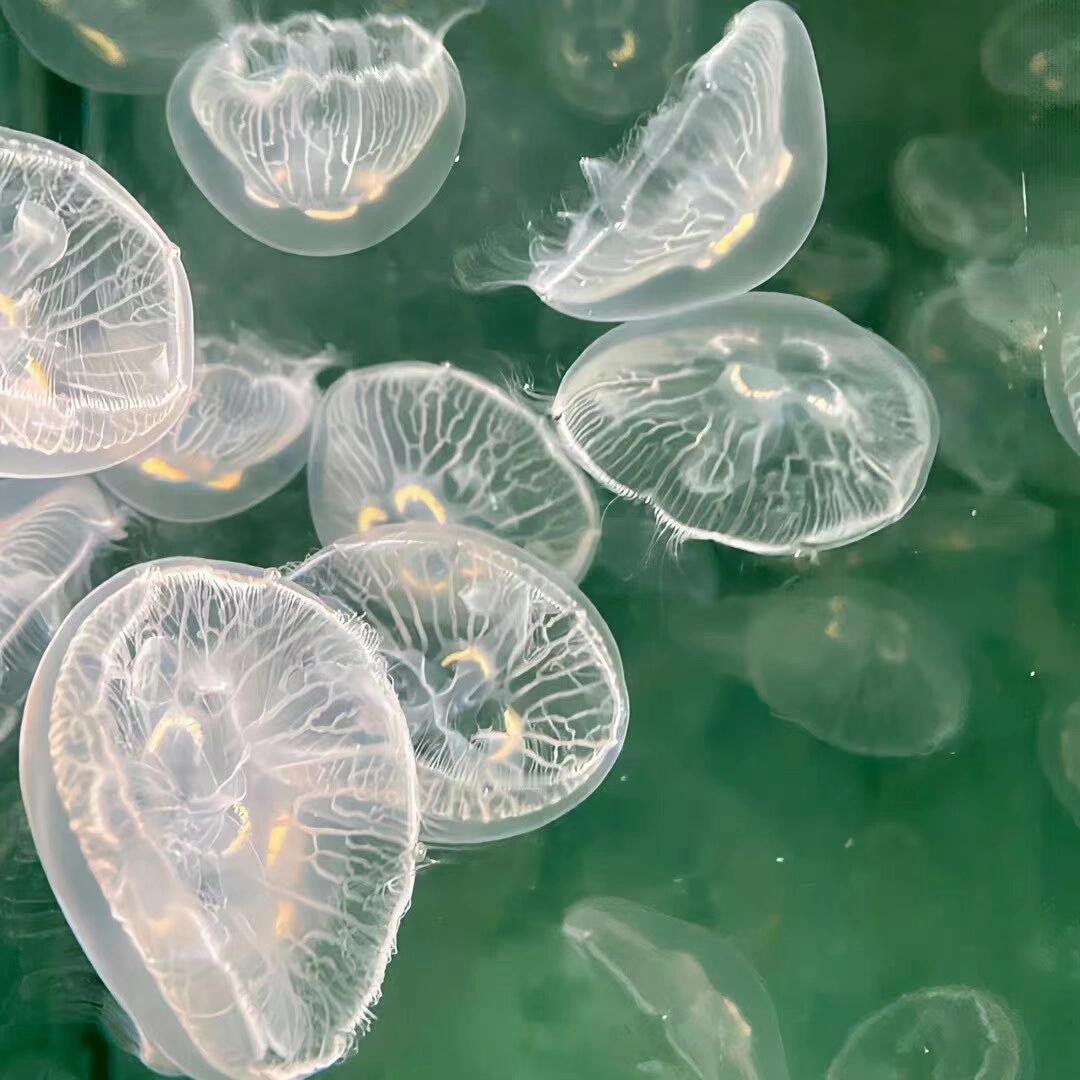 在人生的道路上，每一个人都是孤独的旅客。与其舒舒服服，懵懵懂懂活一辈子，倒不如品