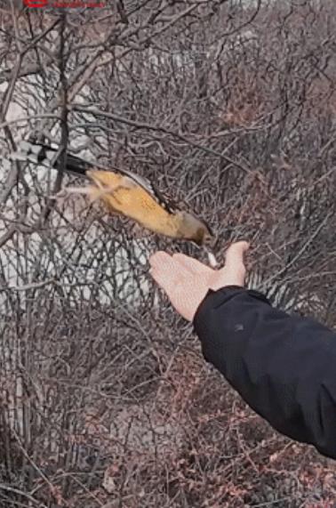 “解释不清了！”四川，一男生去稻城亚丁旅行，中途累了坐下休息，没想到，刚坐下不到