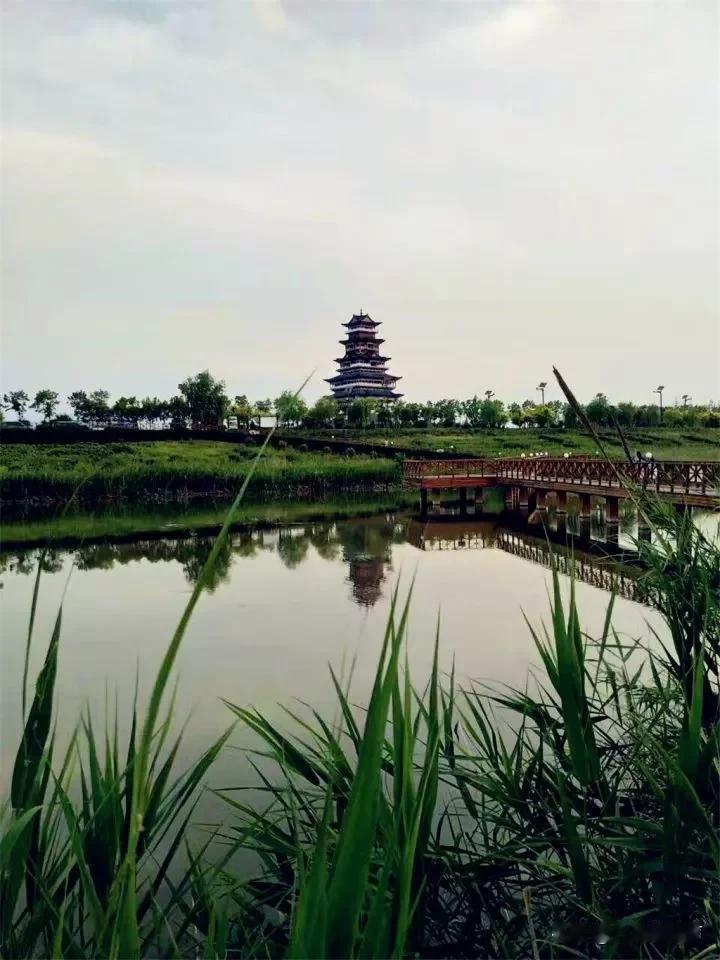 常兴镇：渭水河畔的千年长卷
 龙根
渭水汤汤，自西向东，在关中平原的臂弯里缓缓流