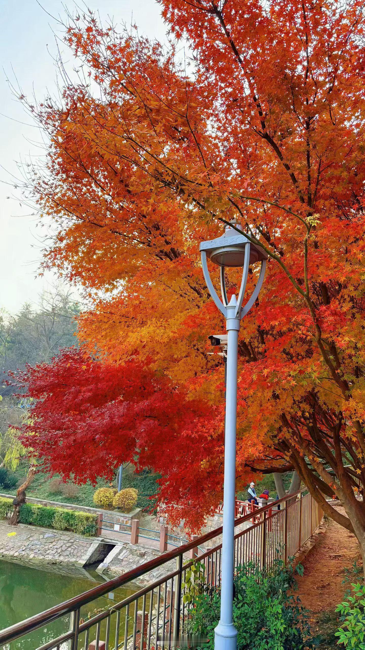 清晨的阳光是礼物，别辜负。今天的努力，藏着明天的惊喜。眼安