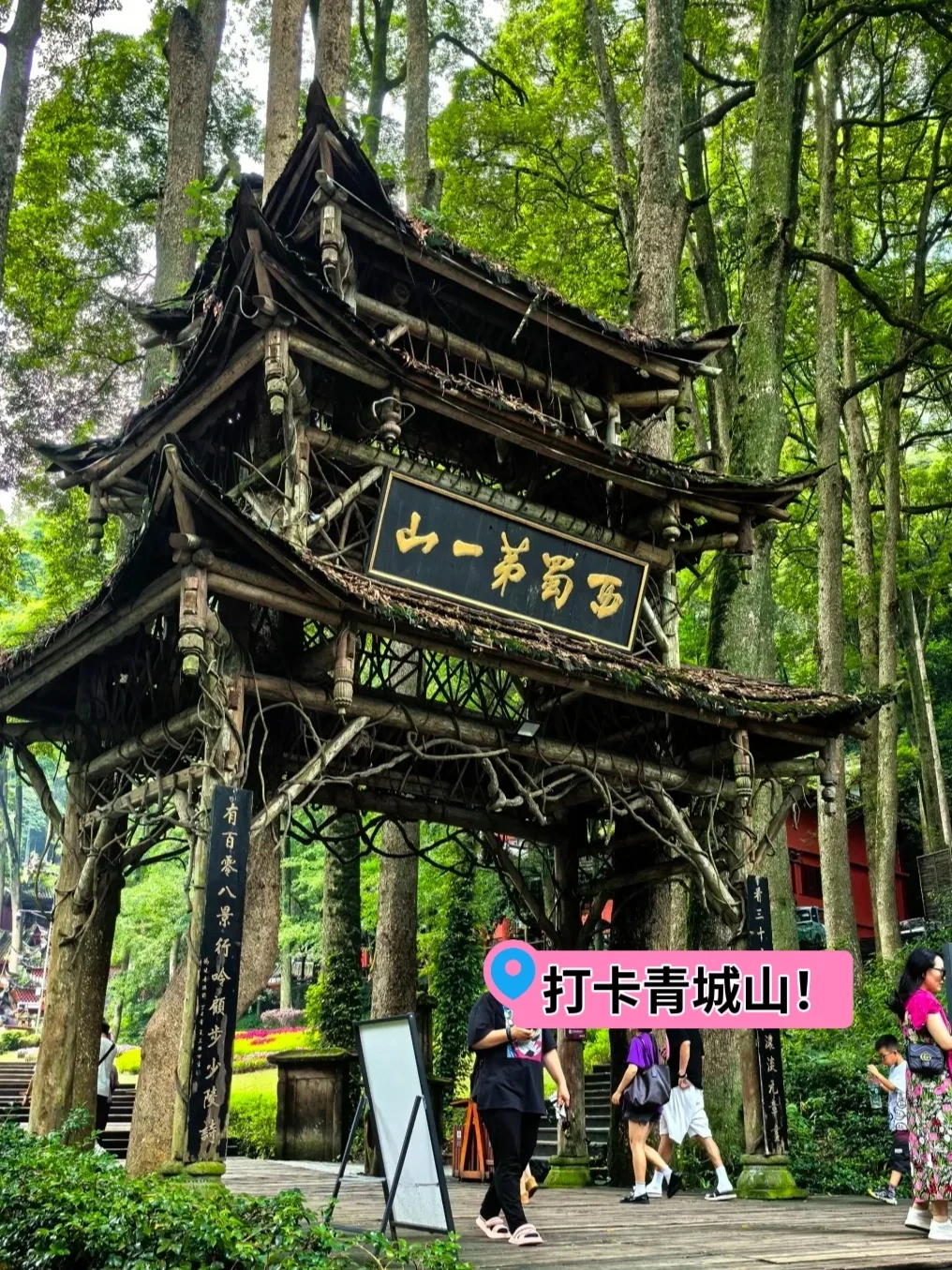 去过才知道...熊猫基地+青城山不适合特种兵