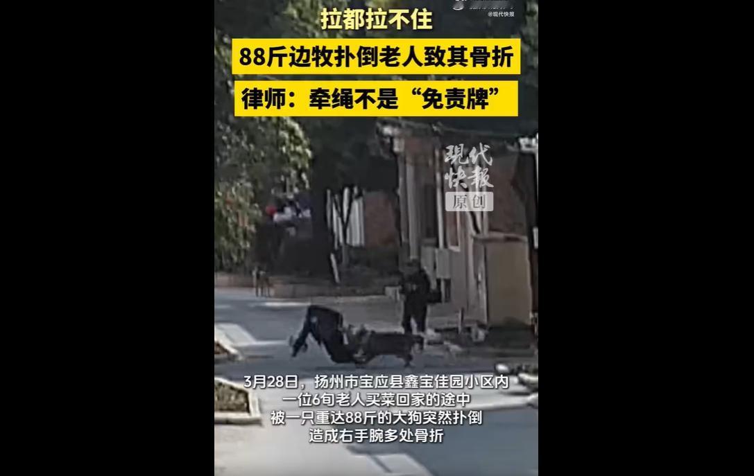3月28日上午，扬州市宝应县鑫宝佳园小区内，一名六旬老人买菜回家时，被一只88斤