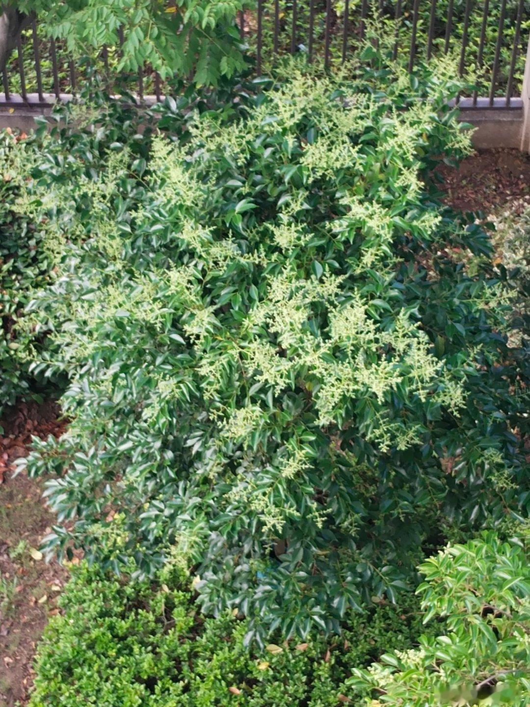 谁的青春里没有一场世界杯赛场上的光谁的青春里没有一场世界杯？不是那种坐VIP席的