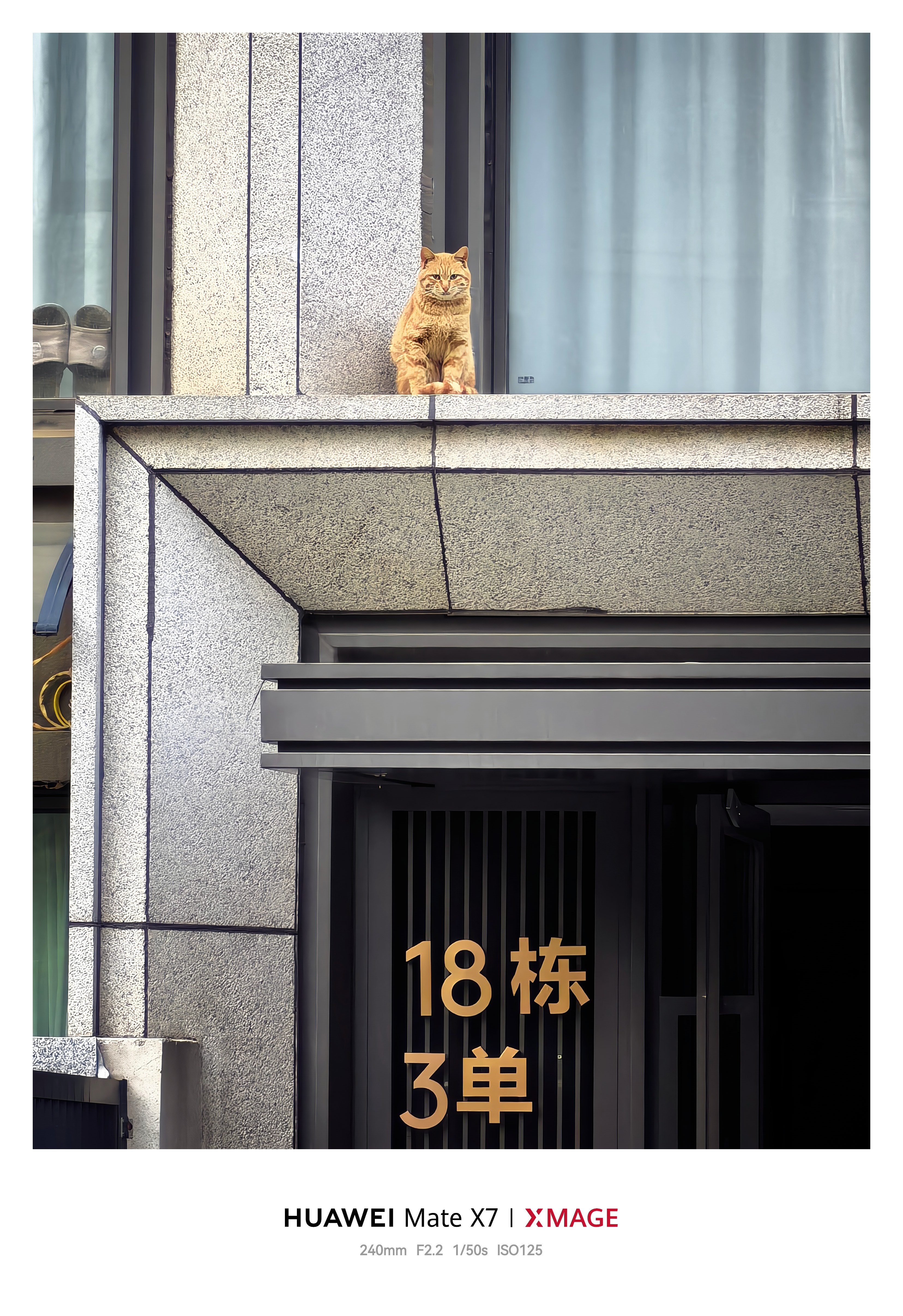 这些品牌竟然都是假洋牌不知道为啥现在还有人盲目崇拜洋品牌你们是不相信蓝星最大工业