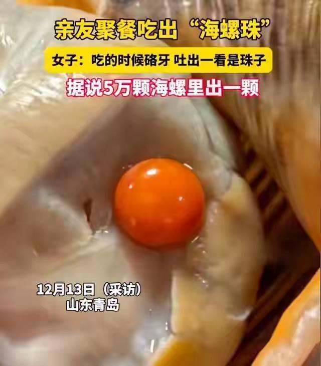 青岛女子家宴一口咬出“火焰龙珠”，天然身价碾压黄金！全网疯传：这海螺里藏着一套房