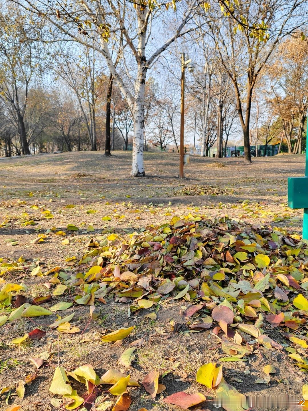 一路有很多所得，最后化作一句：“行至秋深处，很感激！” 