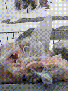 谁懂东北人下雪天的快乐啊！天然室外大冰箱，冻货存起来满满的踏实感，东北有一种假期